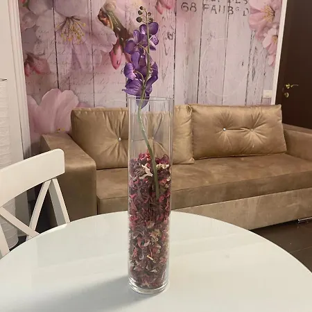 Mihaela מאמאיה